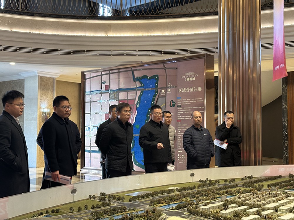黨委書記、董事長汪洋調研開封項目并指導經(jīng)營發(fā)展工作